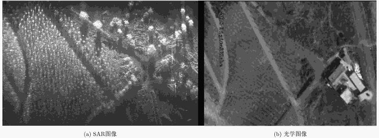 微型合成孔径雷达（MicroSAR）